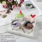 4hole Clear Box - 5pcs