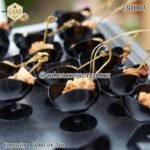Black Chair/Scallop Cups - 10pcs - Image 2