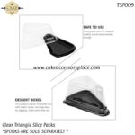 Clear Triangle Packs - 50pcs - Image 4