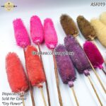 Dispacus Sativus Dry Flower - 1pcs - Image 3